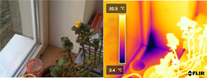 Analiză termică fereastră